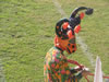 Традиционная маска коровы , характерная для Пиренполиса
