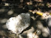 кристаллы в пиринополисе, гояс